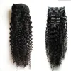 Afro Kinky Curly Wave Echthaar-Clip-in-Haarverlängerungen, 8 Stück, brasilianische Echthaarverlängerung, 100 g/Set, Clip-in-Echthaarverlängerungen