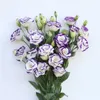 100 PCS Bags Rare Eustoma Flower Planta en maceta Lisianthus Colors mixtos Variedad de planta de flores Completa la tasa de adquisición 953399624