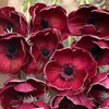 10st högkvalitativa riktiga touch pu anemone rose faux blommor för bröllop dekoration brud känner silke blomma hem tillbehör fotografering rekvisita