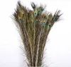 Pure natural peacock feathers imported peacock feathers DIY household Vase Decoration 25-30 cm W816