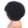 Afro Kinky Curly peruker för kvinnor PRED PLUCKED BRAURILIAN HUMMA HÅR PERIGS 8 tum Kort spetsfront peruk