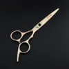 6 cal Profesjonalne nożyczki do cięcia włosów Fryzjerstwo Nożyce do włosów Przerzedzenie Nożyce Barber Fryzura