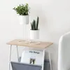 Nordic Ins Ferro Vasi per piante Vasi da fiori Vaso di cactus Soggiorno Decorazione del desktop Piccoli ornamenti Puntelli per foto Accessori per la casa