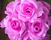 Nyanlopp 100st Silverfärg Konstgjorda Silk Rose Peony Flower Heads for Wedding Floral Wall Decoration