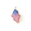10 stks / partij Amerikaanse Vlag Revers Pin United States USA Pet Tie Tack Badge Pins Mini Broches voor Kleding Tassen Decoratie