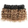 Brésilien Cheveux Bouclés Vague D'eau Cheveux Bundles 1B 27 Ombre Honey Blonde 10 12 14 pouces 3 Bundles Remy Extensions de Cheveux Humains En Gros