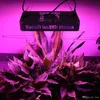 1200W 120leds LED Grow Light double chip growing lamp Full Spectrum plant growth lighting for Indoor Greenhouse hydroponics