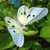 Solar Power String Lights 12 LED Animal Design Multi-Color Fiber Optic Butterfly Decorative Lights for Home Patio Garden Tree