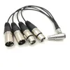 Freeshipping Spina maschio a gomito da 10 pin a 4 cavi di uscita ingresso audio breakout XLR per registratore monitor Shogun