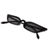 Sonnenbrille Hohe Qualität Trendy Brillen Frau Mann Retro Bunte Transparente Kleinkatzeauge
