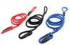 Nylon Touw Hond Whisperer Cesar Millan Stijl Slip Training Leash Lead and Collar Red Blue Black Colors