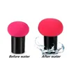 Small mushroom puff with handle makeup sponge foundation mushrooms head seal puffs beauty make up egg tool free ship 50