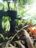 Chauffage de Filtration 3 en 1 pour filtre d'aquarium, Mini purificateur d'eau Submersible à oxygène