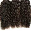 Grado 7a Capelli ricci crespi vergini mongoli vergini italiani Fusion Stick I TIP Estensioni dei capelli umani Afro Kinky Curly H2321477