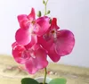 Juego de 20 flores de orquídeas artificiales en maceta de phalaenopsis + hoja de espuma + jarrón de plástico, flor de simulación, decoración navideña para el hogar, regalo de bonsái