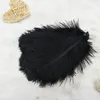 15inch (30-35cm) Diy Ostrich Feathers Plumes Craft Supplies Party Decoration Centerpiece Wedding Party Event Decor