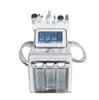 Hydro Microdermabrasion Skin Care Cleaner Water Aqua Jet Oxygen Peeling Ultrasonic RF Cold Hammer Skin Scrubber 6 IN 1 Hydrafacial Machine