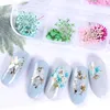 Adesivi per decorazioni per unghie 3D Adesivi per fiori secchi Foglia per gel UV floreale reale Smalto per fiori naturali Adesivo per cursori Set di decalcomanie per manicure di bellezza