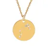 Acier inoxydable 12 Constell collier cristal horoscope pièce colliers pendentifs femmes hommes mode bijoux Will et Sandy