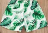 Kids Summer Swim Shorts Baby Boys Swim stnie strojów kąpielowych Kwiatowe swobodne sprężyste spodenki na plażę Summer 2020 Nowy kropla 4026666