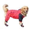 Grand chien imperméable imperméable tissu imperméable de beaux vêtements avec Cap Labrador Samoye Golden Golden Retriever Grand Dog Raincoat Chubasquero Perro