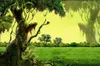 Papier Peint Pas Cher Winding Vine Fantasy Green Forest 3D Papier Peint Décor À La Maison Personnalisé