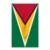 Bandeira de Guyana 3x5ft alta qualidade 100D Polyester suspensão vôo Qualquer Estilo 90x150cm Nacionalidade País Bandeira da bandeira Drop Shipping