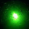 새우 미끼 물고기를 잡을 신선 또는 바닷물 빛 보트 해양 LED 빛을 유치 2PCS DC12-24V 30W 녹색 백색 LED 수중 물고기