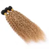 Honigblonde peruanische lockige Echthaar-Webart-Bündel Kinkys Curly 3 Bundle-Angebote #1B 27 dunkle Wurzel hellbraune Ombre-Jungfrau-Haarverlängerungen