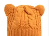 New South Korean hat, female autumn beret hat, winter winter knitwear hat, day cat, ear cat wool cap Free Delivery L542