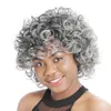 ZM Newstyle 12 "Short Afro Wigs Sintéticos Misturados Ombre Cinza Cinza Peruca Curly Para Preto / Branco Mulheres Fibra Americana de Alta Temperatura