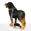 Corda da trazione per cani in acciaio inossidabile oro argento Catena per cani antideflagrante Guinzaglio antimorso per cani di grossa taglia Pitbull Doberman1634797