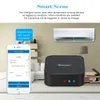 Sonoff RF Bridge Smart Wifi Switch Telecomando wireless Home Controller Funziona con Alexa e Google Android iOS 433MHz