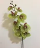 واحد حقيقي لمس السحلية زهرة اصطناعية محاكاة نوعية جيدة فراشة بساتين الفاكهة اللاتكس phalaenopsis لزهور الزفاف