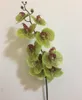 one REAL TOUCH Orchid Flower Artificial Simulated Good Quality Butterfly Orchids Latex Phalaenopsis for Wedding Flowers