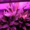 1200W 120leds LED Grow Light double chip growing lamp Full Spectrum plant growth lighting for Indoor Greenhouse hydroponics