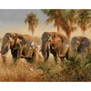 Pittura a olio fai da te con i numeri Elefante 5040CM2016 pollici su tela per kit di decorazione domestica senza cornice4134133