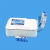 2in1 Draagbare Huid Cool Fractional RF Microneedle Radio Frequentie Schoonheid Machine RF Gezicht Opheffen Rimpel Verwijdering Machine Skin Rejuvenaiton