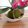 Creative Phalaenopsis artificial bonsai Silk Butterfly Orchid ornaments Simulation plant pots decorative flowers set for home