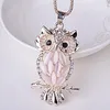 Nouvelle Arrivée Long Chandail Collier Charme Bordée Femmes Lady Fille Hibou Pendentif Collier Vêtements Bijoux Accessoires