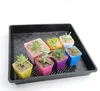 Mini Kare Plastik Yetiştiricilerinin Saksı Ev Ofis Dekor Ekici Tencere Tepsiler Ile Renkli Yeşil Bitki Yapay