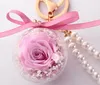 Fleur de rose conservée en acrylique Ball Chain Chain de fleur immortelle Cabille romantique Gift Valentine039s Day Birthday9569991