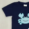 Kinder Designer Kleidung Jungen Stickerei Kinder Boutique Baby Infant Boy Designer Kleidung Kurzes T -Shirt Shirt Hosen Set Kleinkind Baby OU8449037