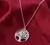 Heta reor Mode Kvinnor Hollowing Tree Life Disk Hänge Halsband och örhängen Smyckesset Pläterad Gyllene silverglänsande