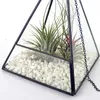 Modern Pyramid Shape Glass Planter Succulent Air Plant Cacti Terrarium Micro Landscape Greenhouse Centerpiece Flower Pot