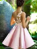 섹시한 놀라운 핑크 쉬어 메쉬 홈 커밍 드레스 탑 새틴 레이스 Applique 라인 공주 짧은 파티 파티 졸업 드레스 맞춤 Ruched