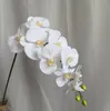 10 Teile/los Lebensechte Künstliche Schmetterling Orchidee Blume Seide Phalaenopsis Hochzeit Hause DIY Dekoration Gefälschte Blumen 2650474