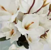 artificial silk 5 Branch magnolia home Hotel table decoration fake flower wedding bride holding photography props GB229