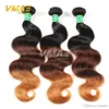 Rosa Hair Products Brazilian Body Wave 100g/Pcs Brazilian Virgin Hair Body Wave 10 Bundles Virgin Unprocessed Human hair High Quality Opp