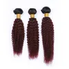 Wijnrood Ombre Kinky Krullend Peruaans Maagdelijk menselijk haar 3-delige bundels met 13x4 frontale sluiting 1B99J Bordeaux Ombre kant frontaal w9135859